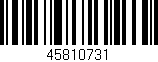 Código de barras (EAN, GTIN, SKU, ISBN): '45810731'