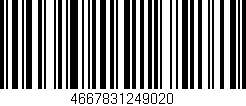 Código de barras (EAN, GTIN, SKU, ISBN): '4667831249020'