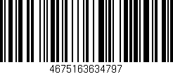 Código de barras (EAN, GTIN, SKU, ISBN): '4675163634797'