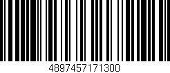 Código de barras (EAN, GTIN, SKU, ISBN): '4897457171300'