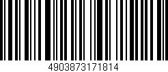 Código de barras (EAN, GTIN, SKU, ISBN): '4903873171814'