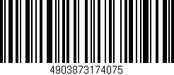 Código de barras (EAN, GTIN, SKU, ISBN): '4903873174075'