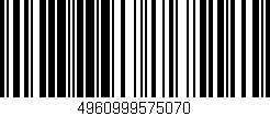 Código de barras (EAN, GTIN, SKU, ISBN): '4960999575070'