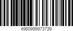 Código de barras (EAN, GTIN, SKU, ISBN): '4960999973739'