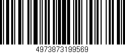 Código de barras (EAN, GTIN, SKU, ISBN): '4973873199569'