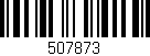 Código de barras (EAN, GTIN, SKU, ISBN): '507873'