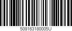 Código de barras (EAN, GTIN, SKU, ISBN): '509163180005U'