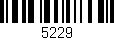 Código de barras (EAN, GTIN, SKU, ISBN): '5229'