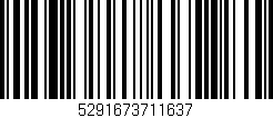 Código de barras (EAN, GTIN, SKU, ISBN): '5291673711637'