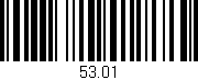 Código de barras (EAN, GTIN, SKU, ISBN): '53.01'