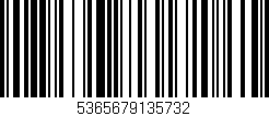 Código de barras (EAN, GTIN, SKU, ISBN): '5365679135732'