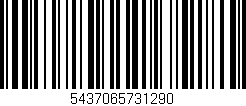 Código de barras (EAN, GTIN, SKU, ISBN): '5437065731290'