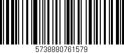 Código de barras (EAN, GTIN, SKU, ISBN): '5738880761579'