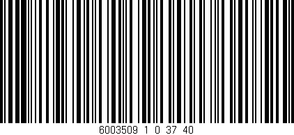 Código de barras (EAN, GTIN, SKU, ISBN): '6003509_1_0_37/40'