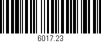 Código de barras (EAN, GTIN, SKU, ISBN): '6017.23'