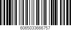 Código de barras (EAN, GTIN, SKU, ISBN): '6065033666757'