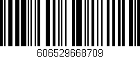 Código de barras (EAN, GTIN, SKU, ISBN): '606529668709'