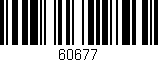 Código de barras (EAN, GTIN, SKU, ISBN): '60677'