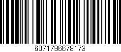 Código de barras (EAN, GTIN, SKU, ISBN): '6071796678173'
