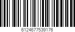 Código de barras (EAN, GTIN, SKU, ISBN): '6124677539176'