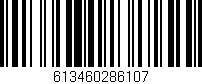 Código de barras (EAN, GTIN, SKU, ISBN): '613460286107'