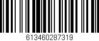 Código de barras (EAN, GTIN, SKU, ISBN): '613460287319'