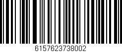 Código de barras (EAN, GTIN, SKU, ISBN): '6157623738002'