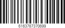 Código de barras (EAN, GTIN, SKU, ISBN): '6163787370699'