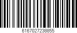 Código de barras (EAN, GTIN, SKU, ISBN): '6167027238855'