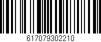 Código de barras (EAN, GTIN, SKU, ISBN): '617079302210'