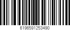 Código de barras (EAN, GTIN, SKU, ISBN): '6196591253490'