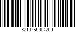 Código de barras (EAN, GTIN, SKU, ISBN): '6213759804209'