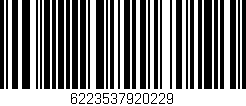 Código de barras (EAN, GTIN, SKU, ISBN): '6223537920229'