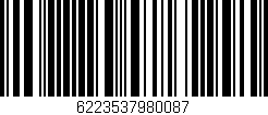 Código de barras (EAN, GTIN, SKU, ISBN): '6223537980087'