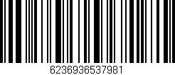 Código de barras (EAN, GTIN, SKU, ISBN): '6236936537981'