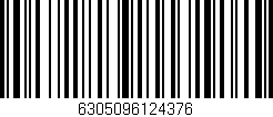 Código de barras (EAN, GTIN, SKU, ISBN): '6305096124376'