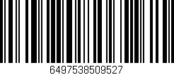 Código de barras (EAN, GTIN, SKU, ISBN): '6497538509527'