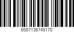 Código de barras (EAN, GTIN, SKU, ISBN): '6587136749170'