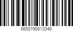 Código de barras (EAN, GTIN, SKU, ISBN): '6650790813348'