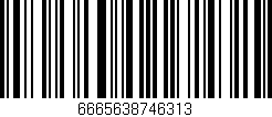 Código de barras (EAN, GTIN, SKU, ISBN): '6665638746313'