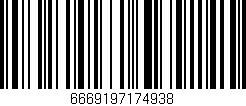 Código de barras (EAN, GTIN, SKU, ISBN): '6669197174938'