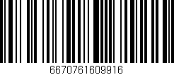 Código de barras (EAN, GTIN, SKU, ISBN): '6670761609916'
