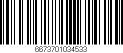 Código de barras (EAN, GTIN, SKU, ISBN): '6673701034533'