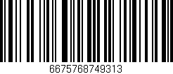 Código de barras (EAN, GTIN, SKU, ISBN): '6675768749313'