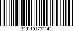 Código de barras (EAN, GTIN, SKU, ISBN): '6701131733143'