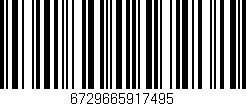 Código de barras (EAN, GTIN, SKU, ISBN): '6729665917495'