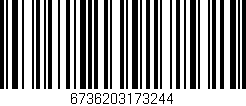 Código de barras (EAN, GTIN, SKU, ISBN): '6736203173244'