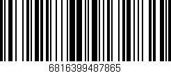 Código de barras (EAN, GTIN, SKU, ISBN): '6816399487865'