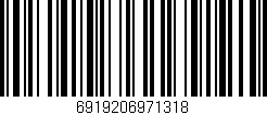 Código de barras (EAN, GTIN, SKU, ISBN): '6919206971318'