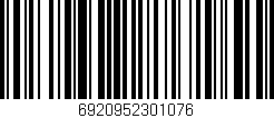 Código de barras (EAN, GTIN, SKU, ISBN): '6920952301076'